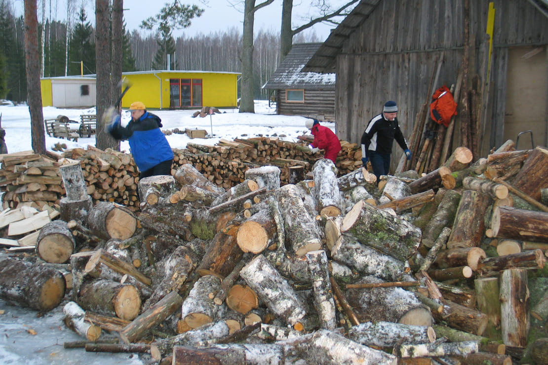 2006-01-15-1a-kõik-puud-peavad-riita-jõudma